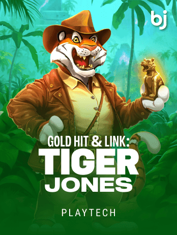 Gold Hit & Link Tiger Jones game cover